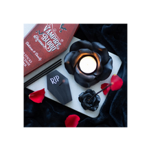 Load image into Gallery viewer, Vampire Blood Incense Sticks and Coffin Holder