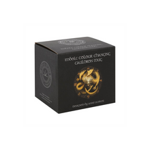 Load image into Gallery viewer, Imbolc Colour Changing Cauldron Mug by Anne Stokes