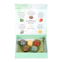 Load image into Gallery viewer, Leo Crystal Tumblestone Set