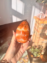 Load image into Gallery viewer, Carnelian Freeform
