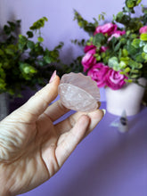 Load image into Gallery viewer, Rose Quartz Shells
