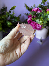 Load image into Gallery viewer, Rose Quartz Shells
