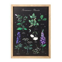 Load image into Gallery viewer, Poisonous Plants Framed Wall Art Print
