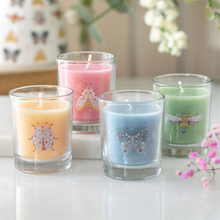 Load image into Gallery viewer, Set of 4 Floral Bug Mandarin &amp; Bergamot Candles
