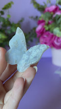 Load and play video in Gallery viewer, Moss Agate Butterfly
