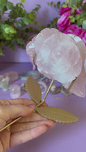 Load and play video in Gallery viewer, Rose Quartz Rose on Stand ( removable)
