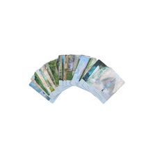 Load image into Gallery viewer, The Ancient Stones Oracle Cards
