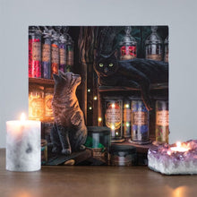 Load image into Gallery viewer, Magical Emporium Light Up Canvas Plaque by Lisa Parker
