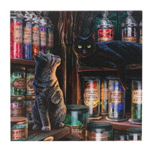 Load image into Gallery viewer, Magical Emporium Light Up Canvas Plaque by Lisa Parker
