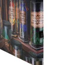 Load image into Gallery viewer, Magical Emporium Light Up Canvas Plaque by Lisa Parker
